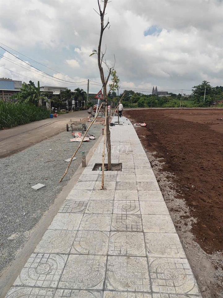 🔥 ĐẤT RẺ CÓ THẬT SỰ LÀ ĐẤT TỐT?