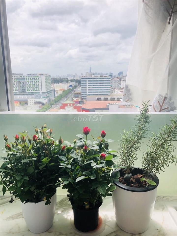 KHÔNG GIAN SỐNG ĐẲNG CẤP TẠI CỘNG HÒA PLAZA – 170M² (4PN, 3WC) – 18TR