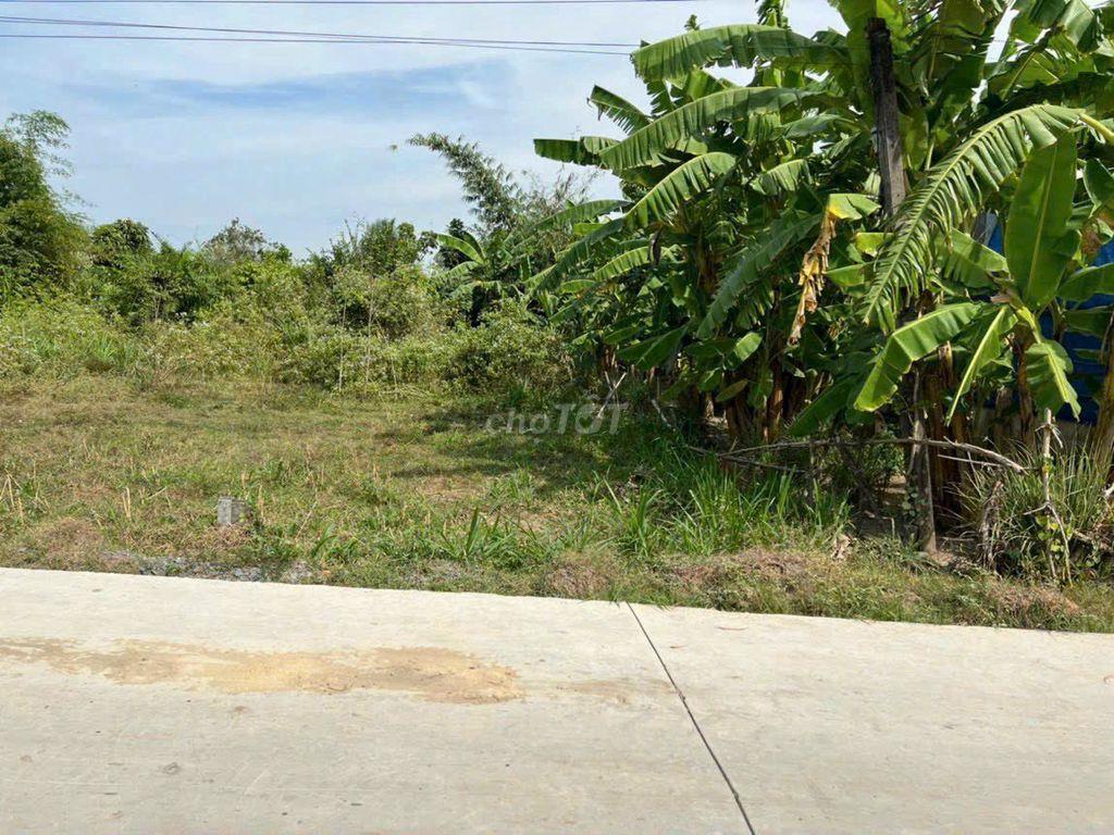 CHÍNH CHỦ CẦN BÁN ĐẤT LỘC BÌNH, LỘC GIANG, ĐỨC HOÀ, LONG AN, (THỔ CƯ)