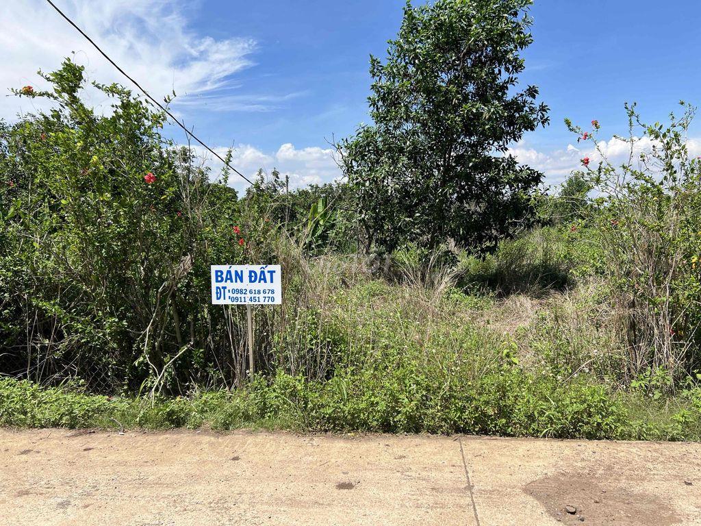 Bán Đất Rẫy/ Đất Vườn