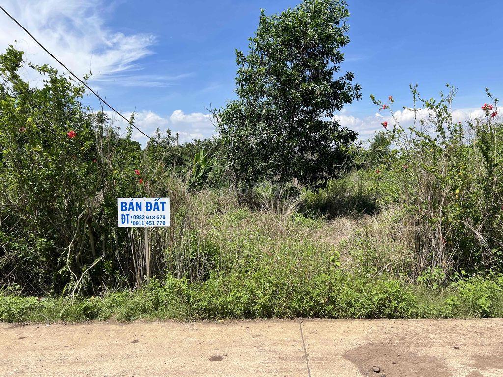 Bán Đất Rẫy/ Đất Vườn
