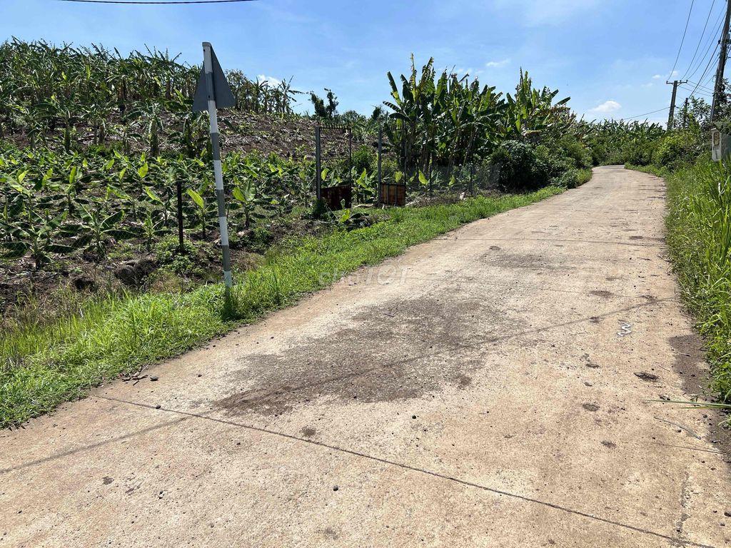 Bán Đất Rẫy/ Đất Vườn