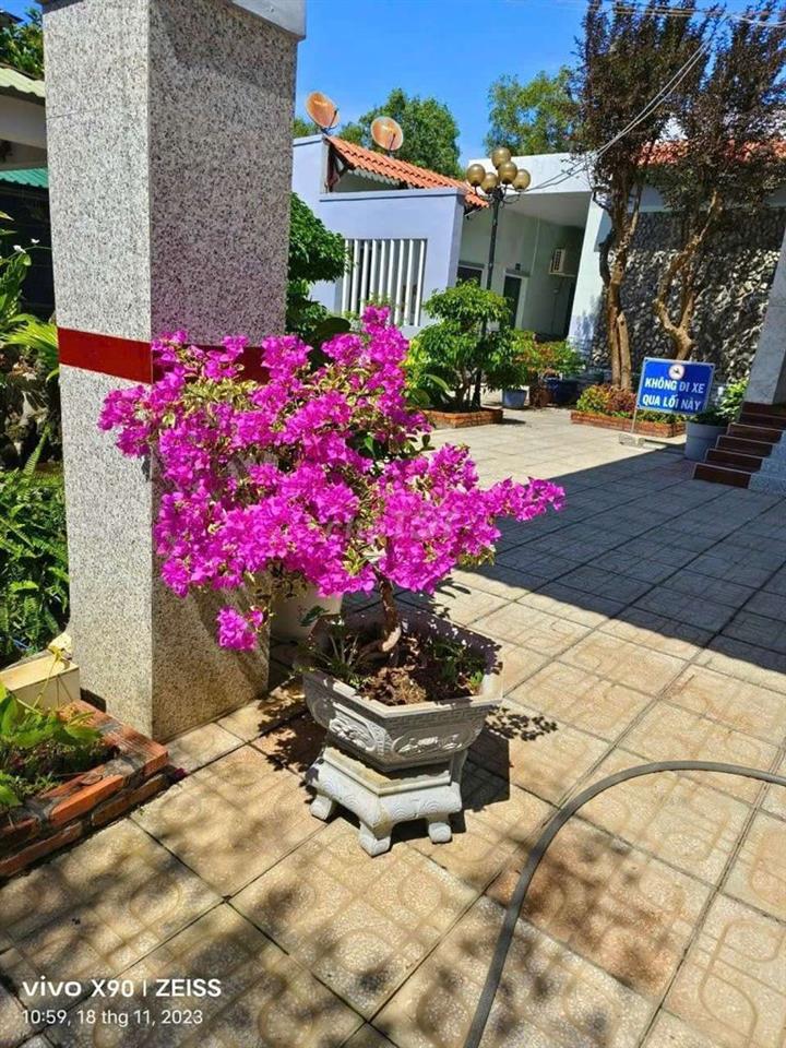 gia đình đi nước ngoài nên cần bán nhà nghỉ sân vườn Myfriend