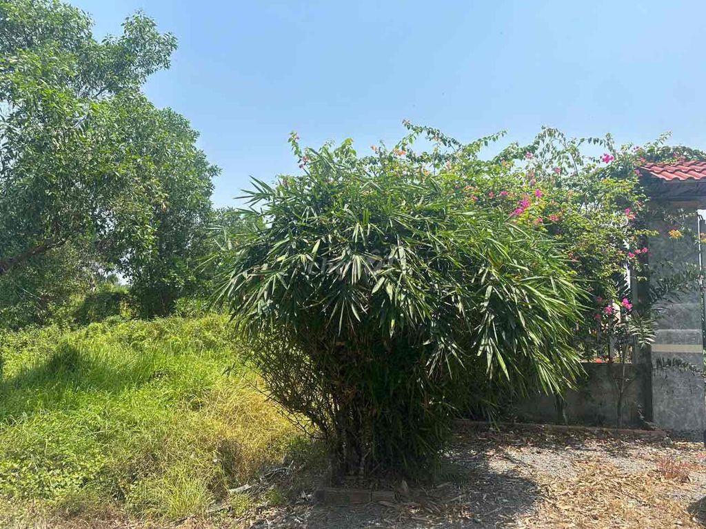 Bán đất mặt tiền Kênh 6, Bình Lợi , Bình Chánh
