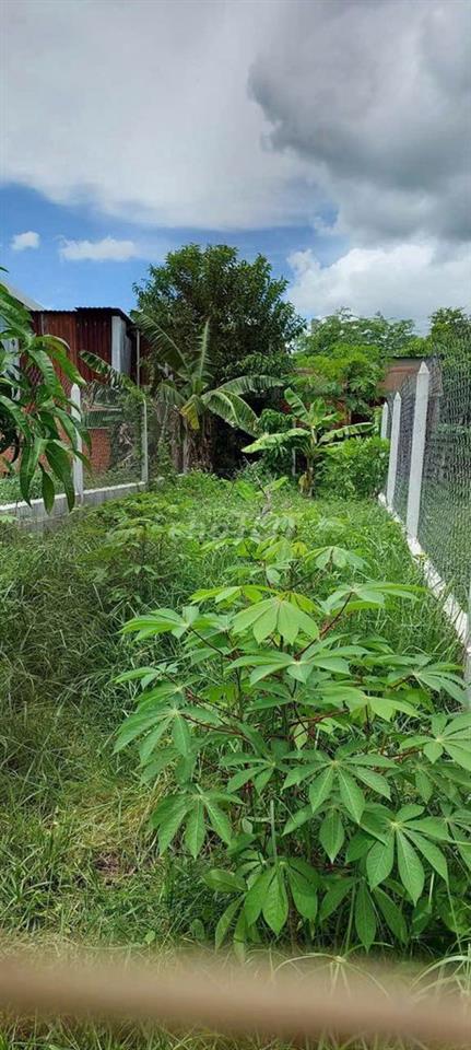 Bán đất Củ Chi ngay chủ 