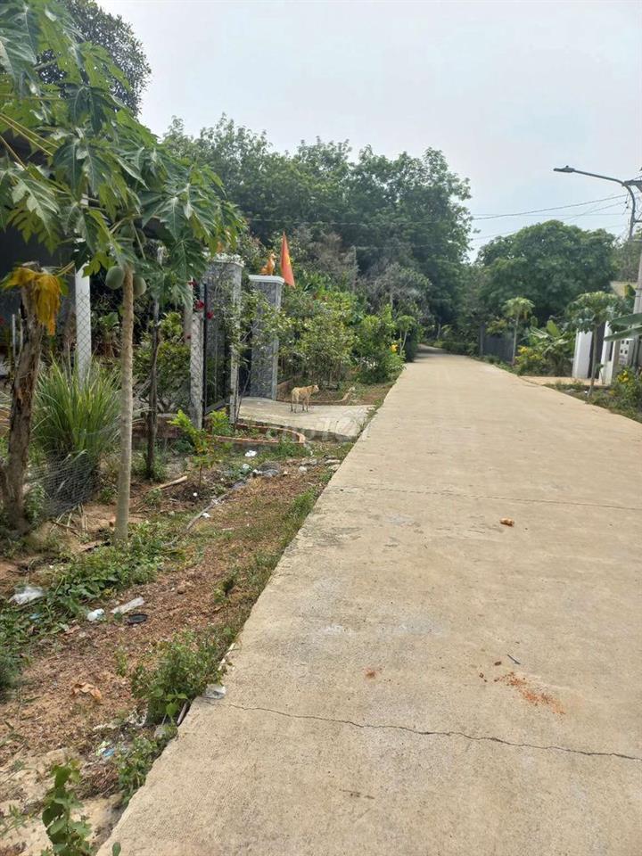 35 tân hiệp Phú Giáo