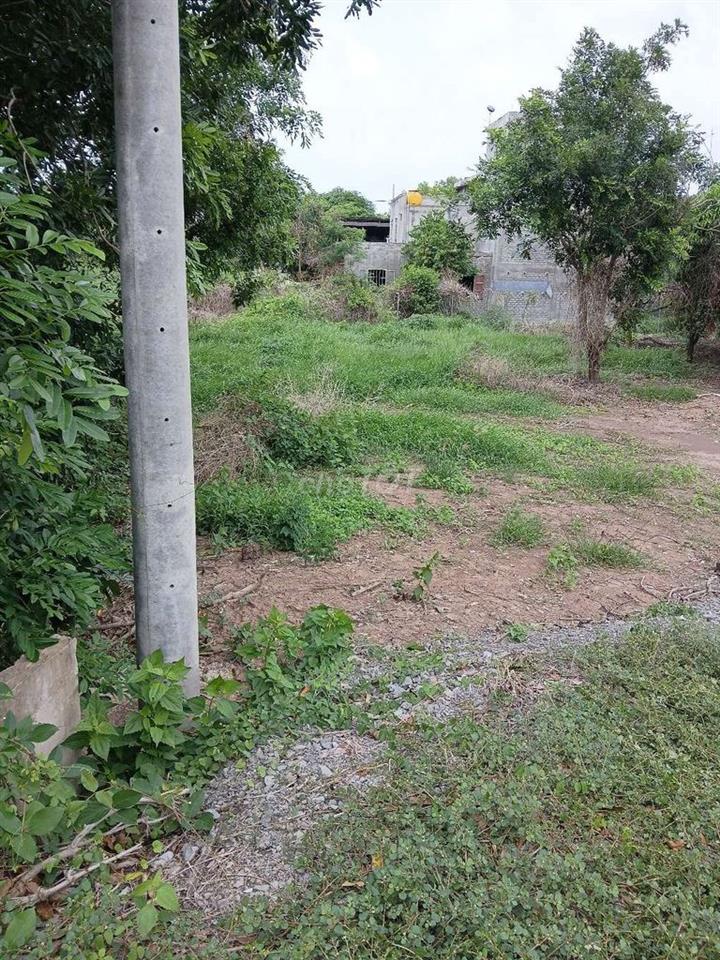 Bán đất ở và đất vươn đang có cây ăn trái viêu đẹp xung quanh  đất