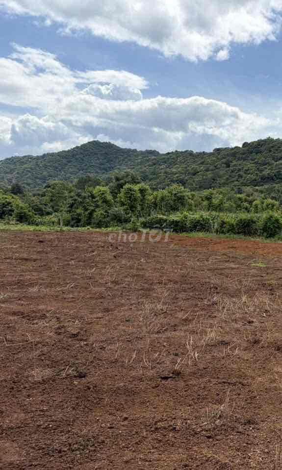 500m2 hẻm vành đai đường 10/3