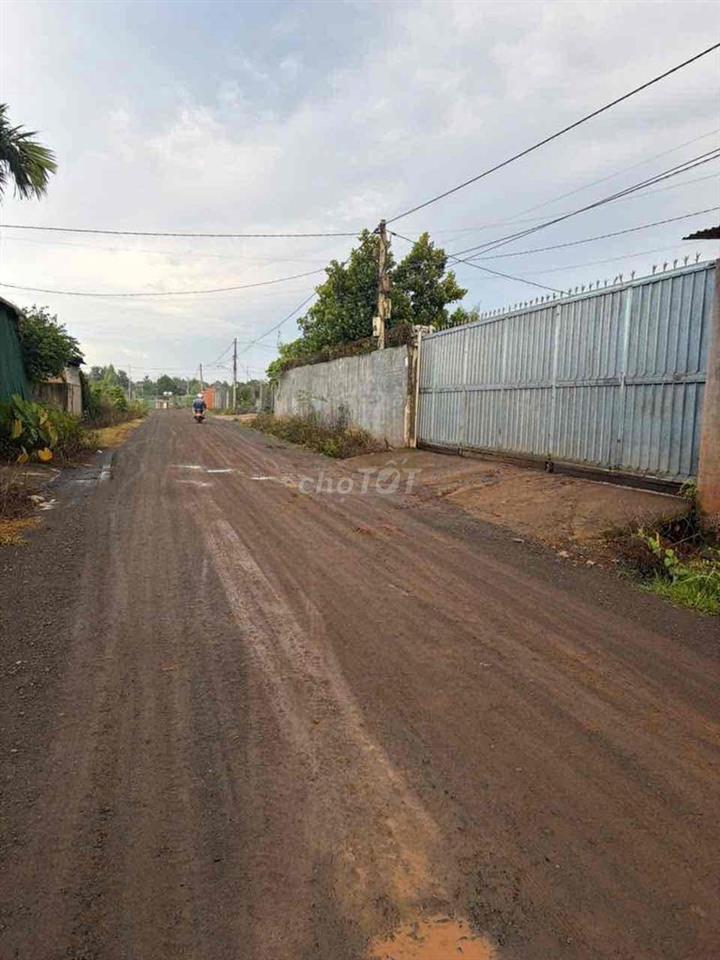 500m2 hẻm vành đai đường 10/3