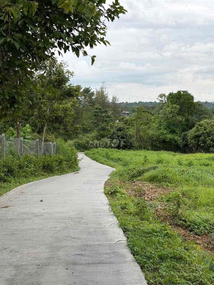 385 TRIỆU – SỞ HỮU NGAY LÔ ĐẤT 10x53M TẠI THÀNH NHẤT