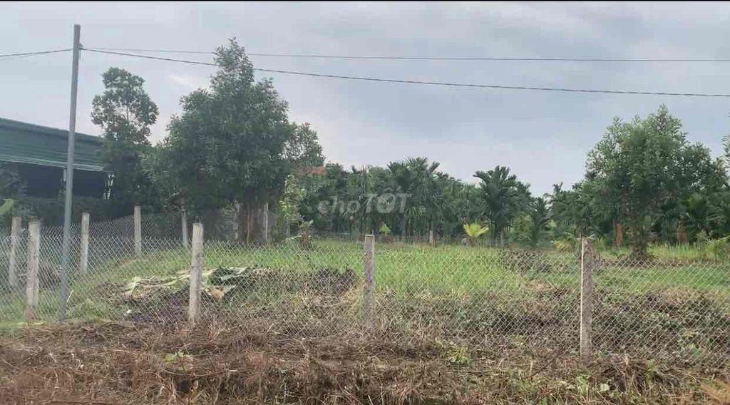chính chủ bán không qua cò đất