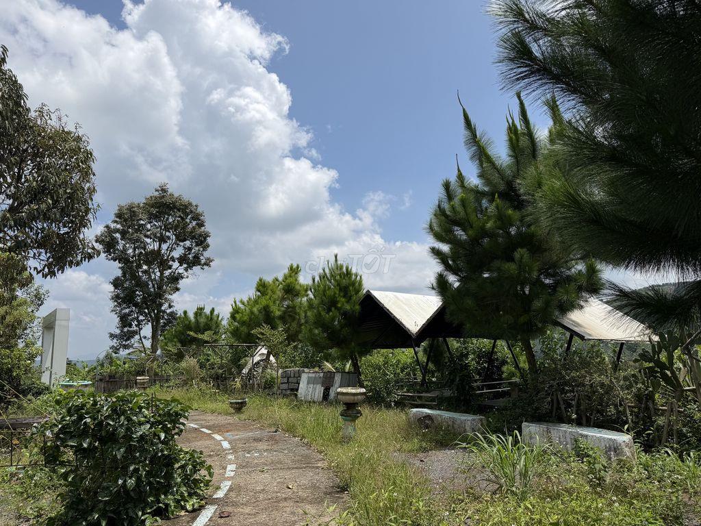 Cho thuê đất làm homestay- quán cà phê