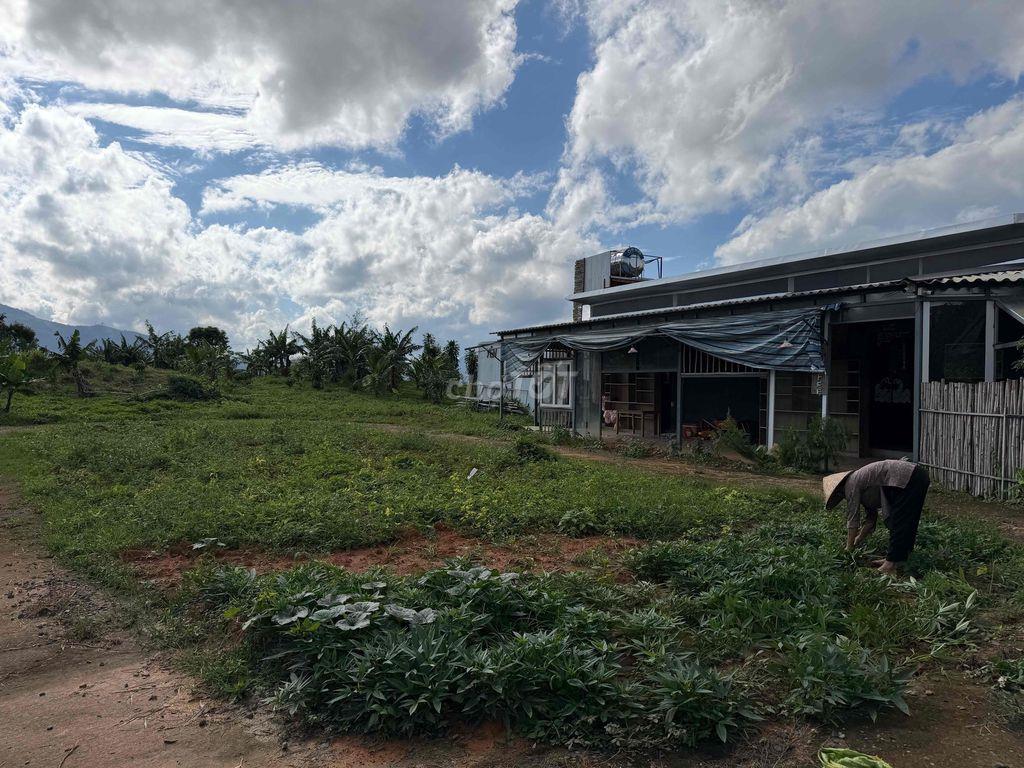 Cho thuê đất làm homestay- quán cà phê