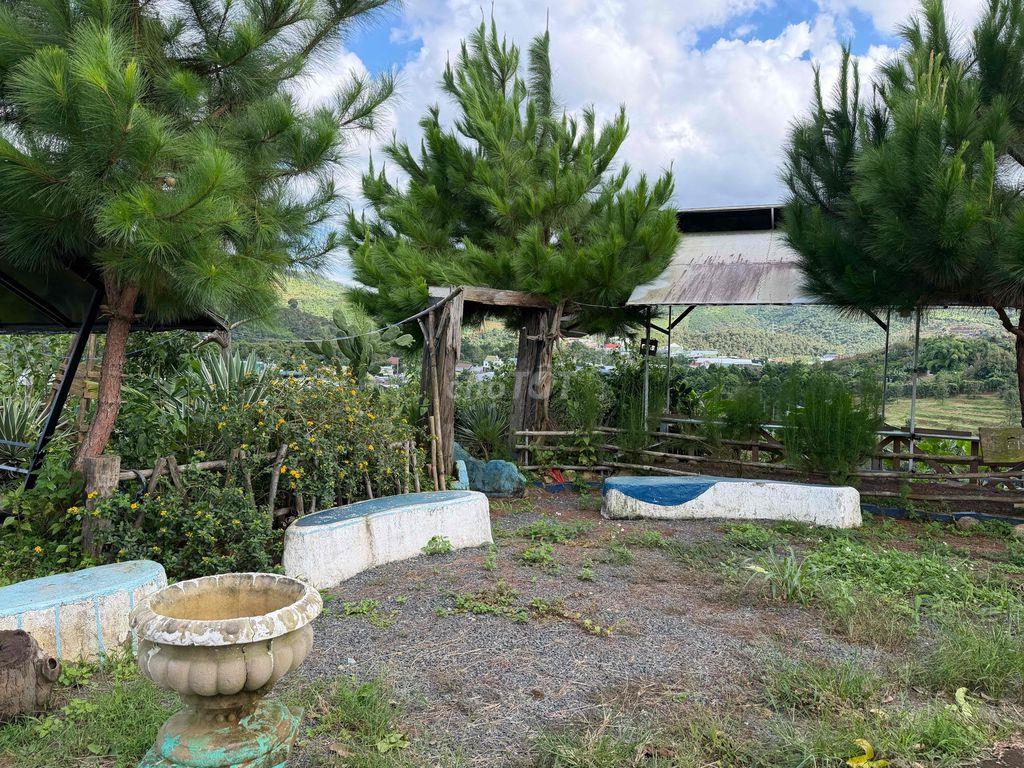 Cho thuê đất làm homestay- quán cà phê