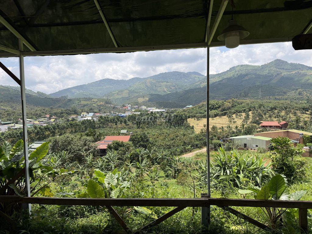 Cho thuê đất làm homestay- quán cà phê