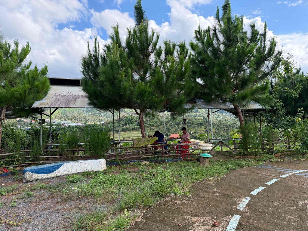 Cho thuê đất làm homestay- quán cà phê