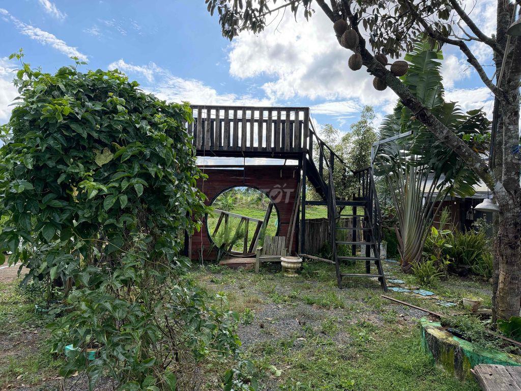 Cho thuê đất làm homestay- quán cà phê