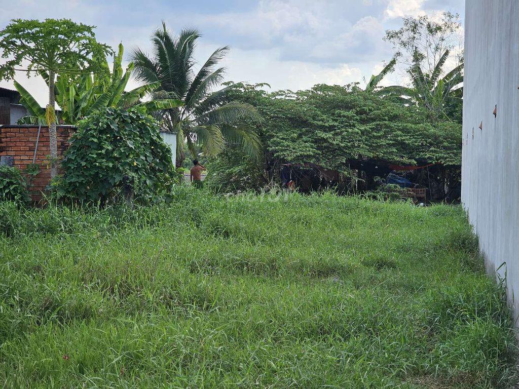đất xã long cang-long an cũ