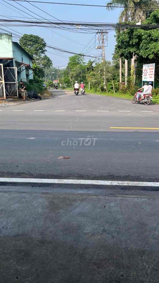 cần cho thuê mặt bằng tỉnh lộ 15