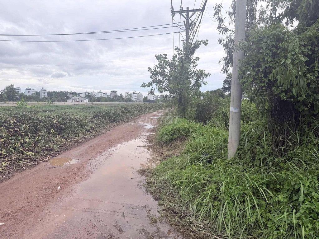 CẦN BÁN ĐẤT LÚA 3500M2