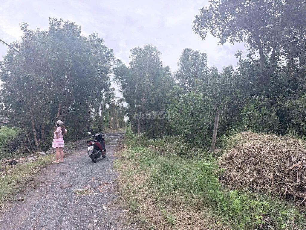 CẦN BÁN ĐẤT LÚA 3500M2