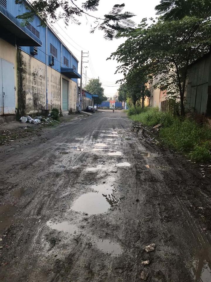 CẦN BÁN ĐẤT LÚA 3500M2