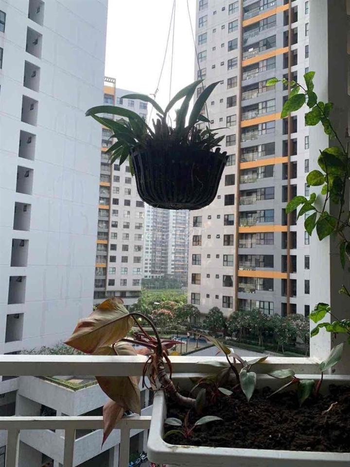 Căn hộ 71m2, 2PN,2Wc, 2 ban công,  1 lô gia