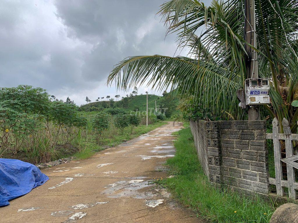 Bán đất thôn 5, xã Đại Lào, TP.Bảo Lộc