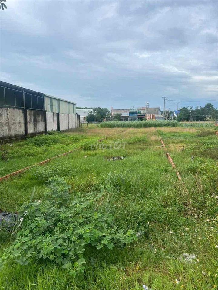 cần tiền bán gấp em cắt lỗ 400 triệu