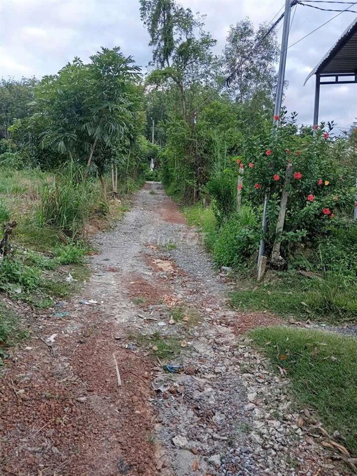 cần bán căn nhà cấp 4