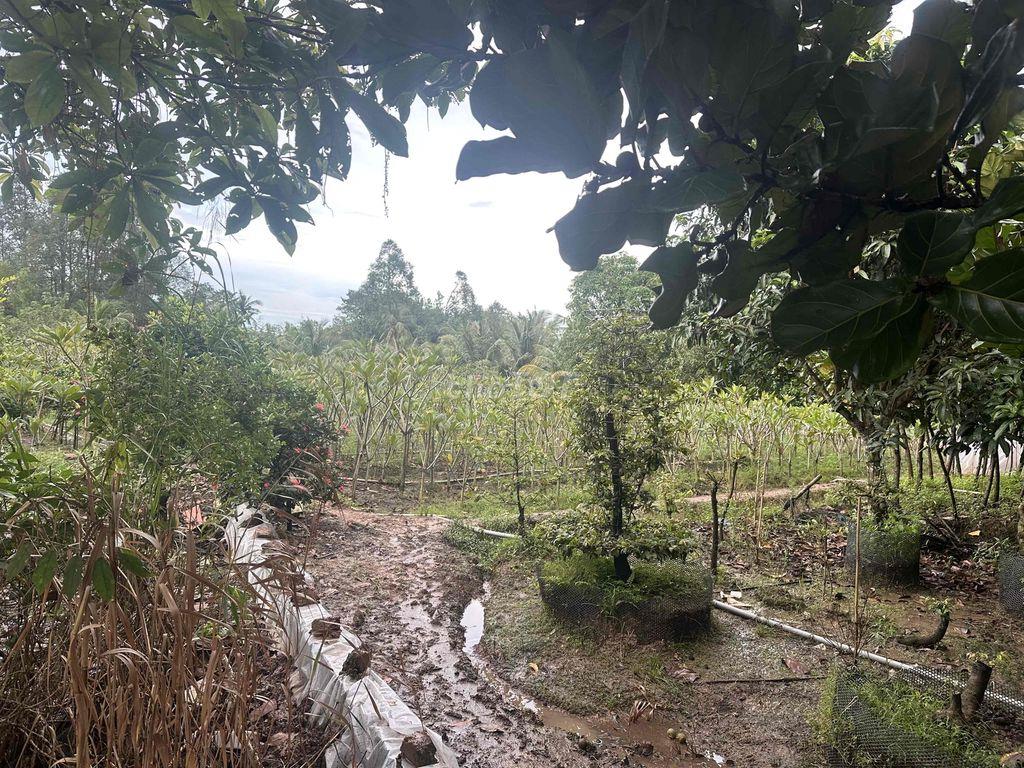 Bán Đất