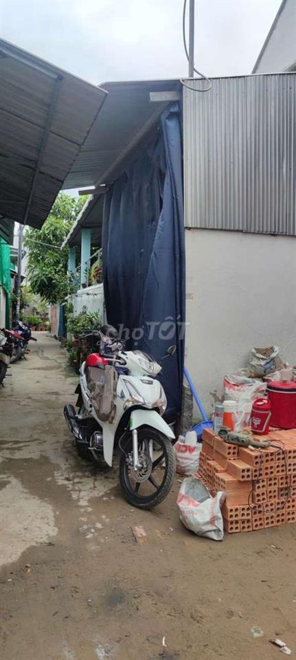 cần bán gấp căn nhà cấp 4 hẻm, đất trồng cây lâu năm 