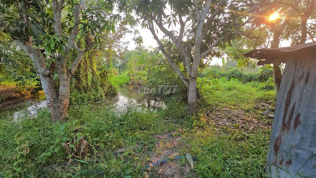 Cho Thuê Đất Củ Chi