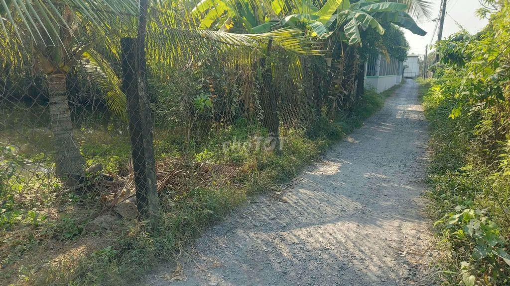 Em bán miếng đất vườn ngay sát chợ Bình Chánh