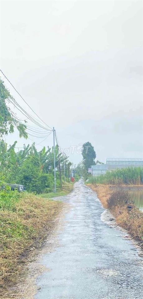 Đất ruộng
