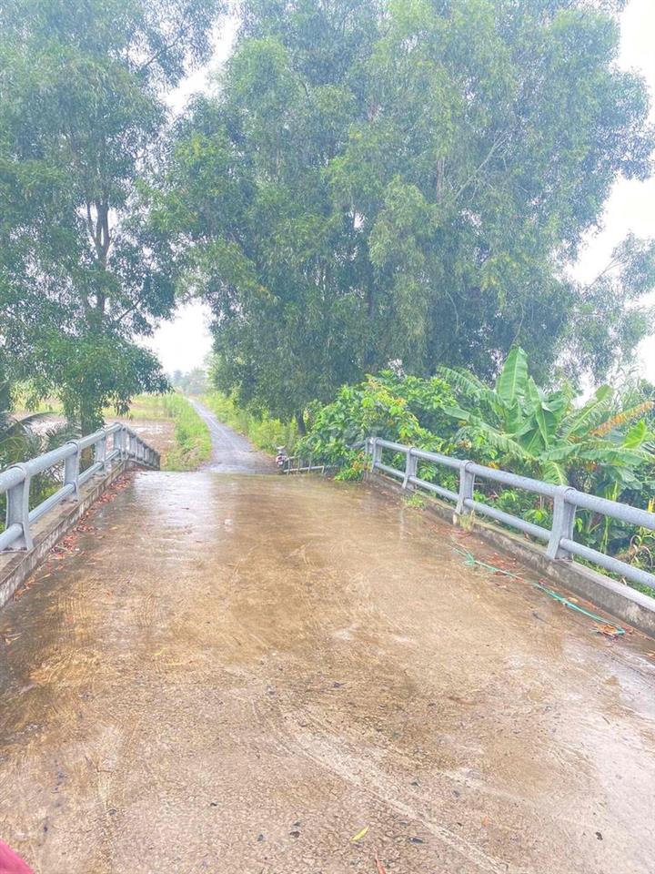 Đất ruộng