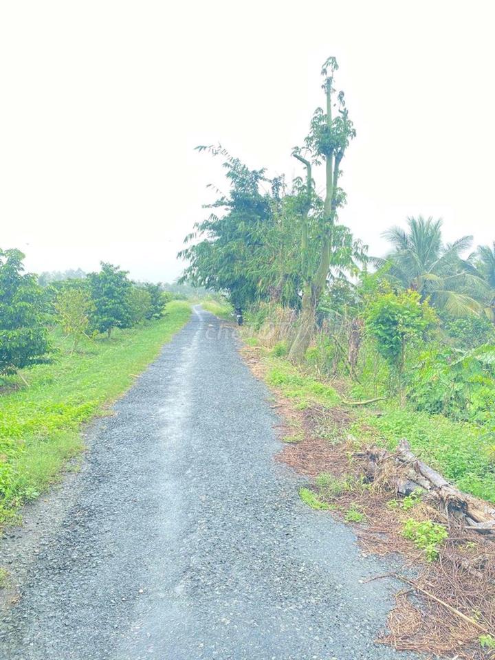 Đất ruộng