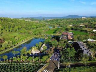 🔥 ĐẤT NGHỈ DƯỠNG VIEW HỒ BẢO LỘC – DỰ ÁN CHÍNH THỨC, TIỆN ÍCH HIỆN HỮU – GIÁ CHỈ TỪ 850 TRIỆU 🔥