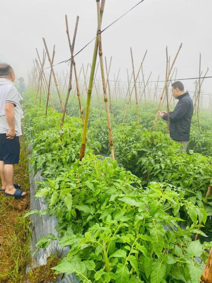 🔥 ĐẤT NGHỈ DƯỠNG VIEW HỒ BẢO LỘC – DỰ ÁN CHÍNH THỨC, TIỆN ÍCH HIỆN HỮU – GIÁ CHỈ TỪ 850 TRIỆU 🔥