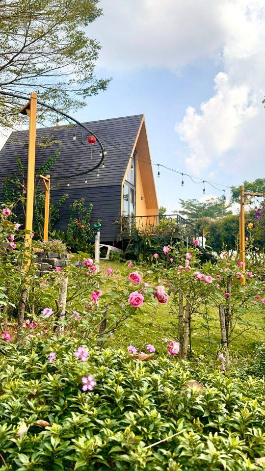 🔥 ĐẤT NGHỈ DƯỠNG VIEW HỒ BẢO LỘC – DỰ ÁN CHÍNH THỨC, TIỆN ÍCH HIỆN HỮU – GIÁ CHỈ TỪ 850 TRIỆU 🔥