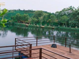 Cần bán gấp đất Làng Omm Bảo Lộc - 152m2, thổ cư 90m2 giá chỉ 1 tỷ
