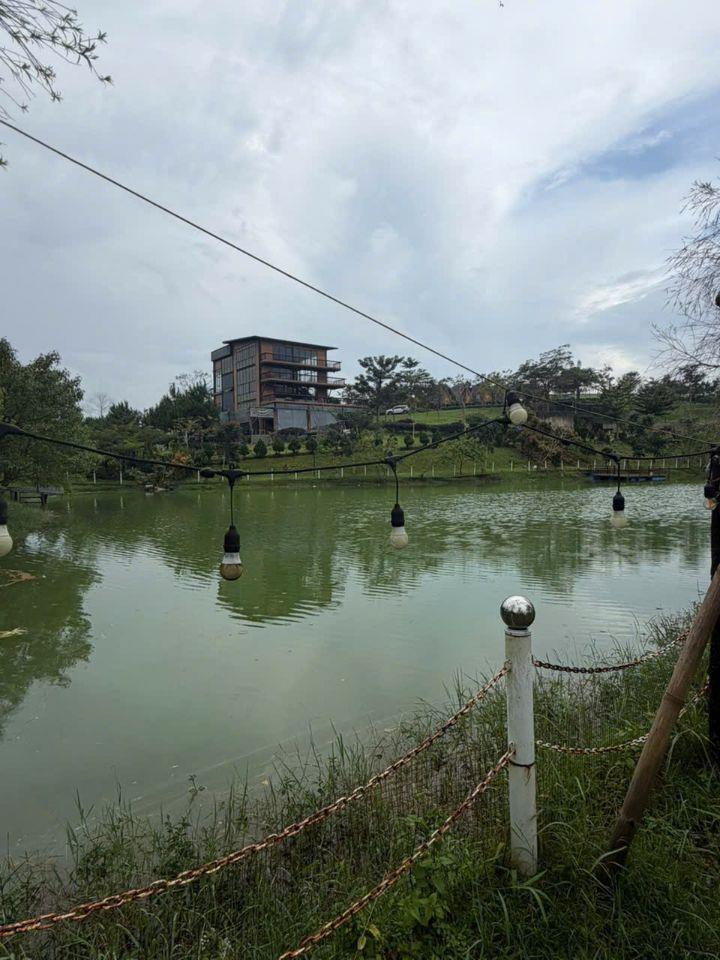 Nhà đất - Bảo lộc - Sồ hồng - Thổ cư