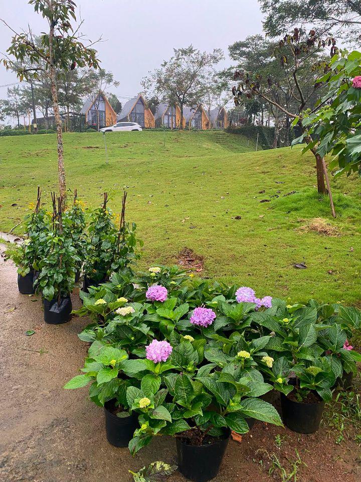 Đất ở - Thổ cư - Bảo Lộc - Lâm Đồng