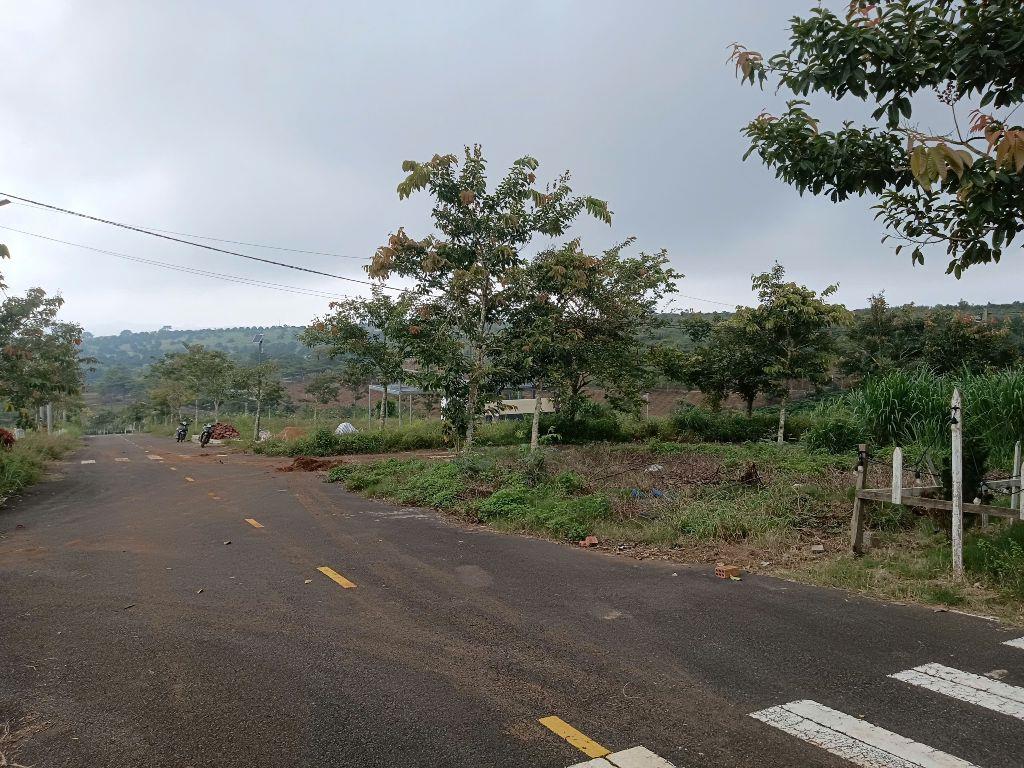 Đất ở - Bảo Lộc - Full sổ hồng - Làng Omm