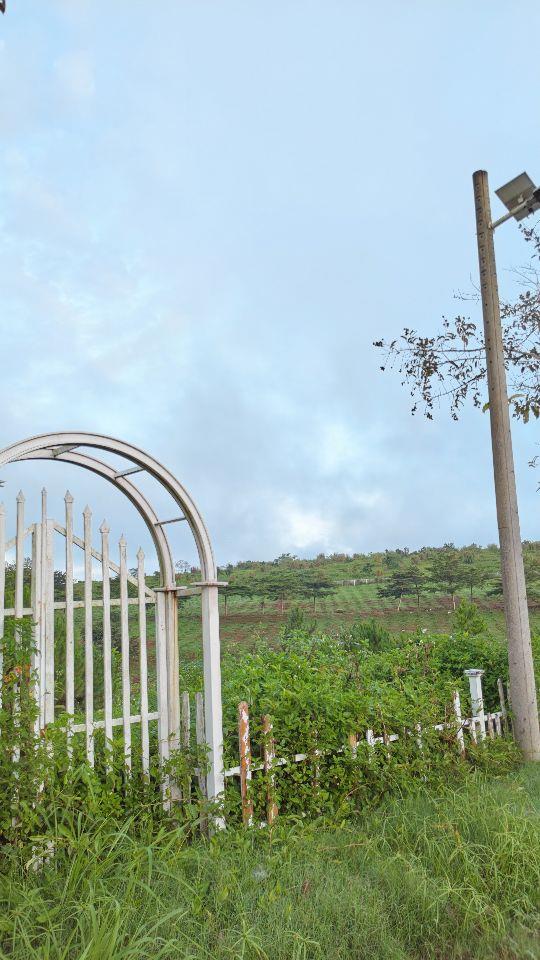 Đất nghỉ dưỡng - Thổ cư - Bảo Lộc