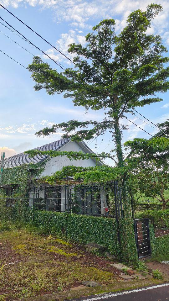 Lô duy nhất 110m2 Đất ở tại Bảo Lộc