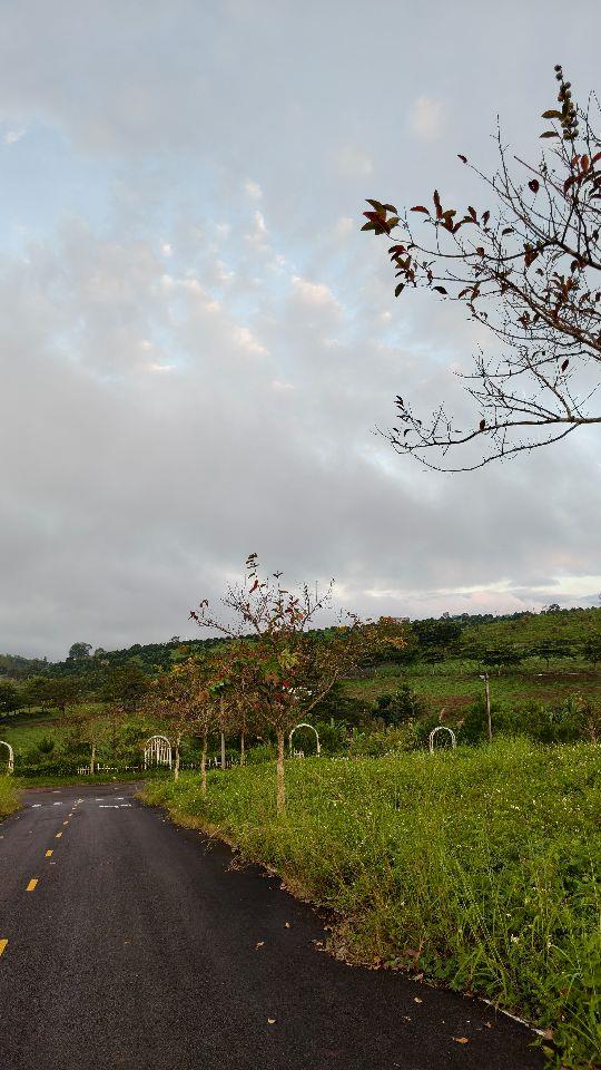 Đất - Biệt thự View hồ Làng omm - Bảo Lộc