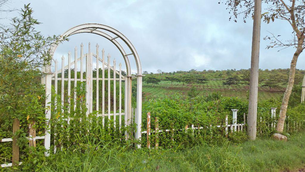 Đất - Biệt thự View hồ Làng omm - Bảo Lộc