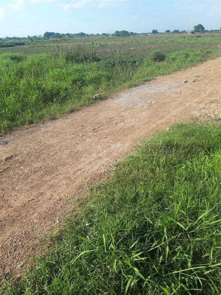bán đất nông nghiệp