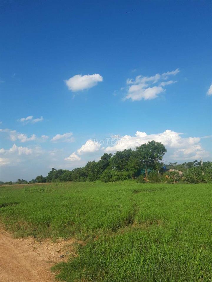 bán đất nông nghiệp
